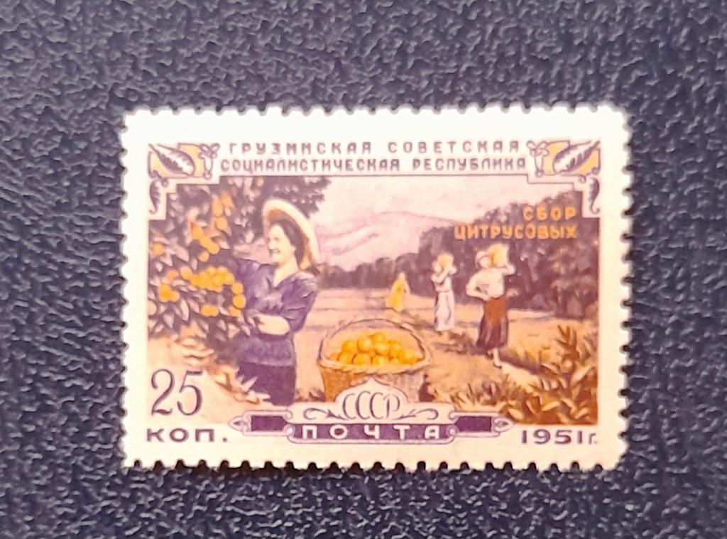 СССР 1951 год 30 лет Грузинской сср  Сбор цитрусовых Чист$