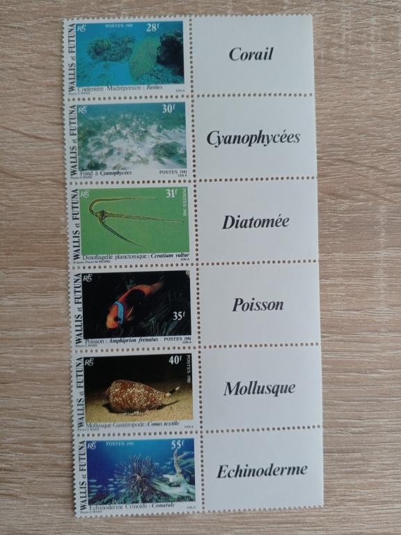 Уоллис и Футуна. Морская фауна**.