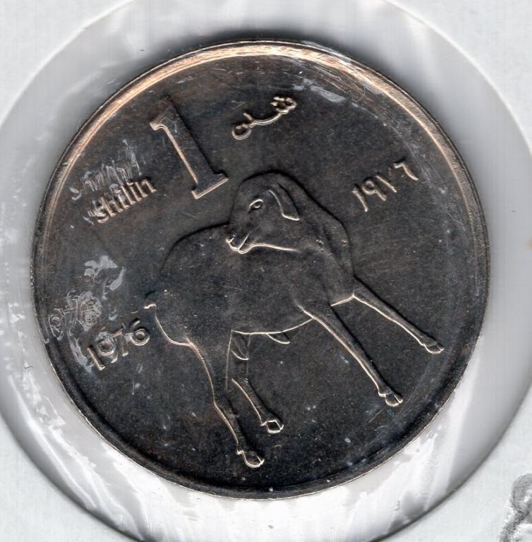1 шиллинг - Сомали - 1976 - ФАО - Ягненок - KM#27 - UNC