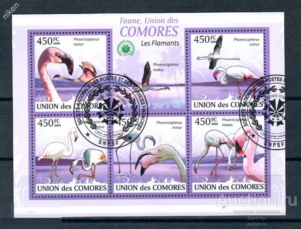 КОМОРСКИЕ ОСТРОВА КОМОРЫ 2009 ФАУНА ПТИЦЫ РОЗОВЫЙ ФЛАМИНГО  42-2-102