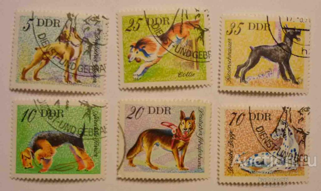 24.38 МАРКИ ГДР  Служебные собаки  6 ШТ 1976  Г