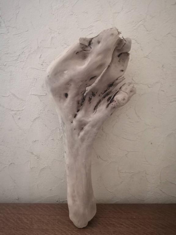 Выбеленное морское дерево Букет или Факел дрифтвуд