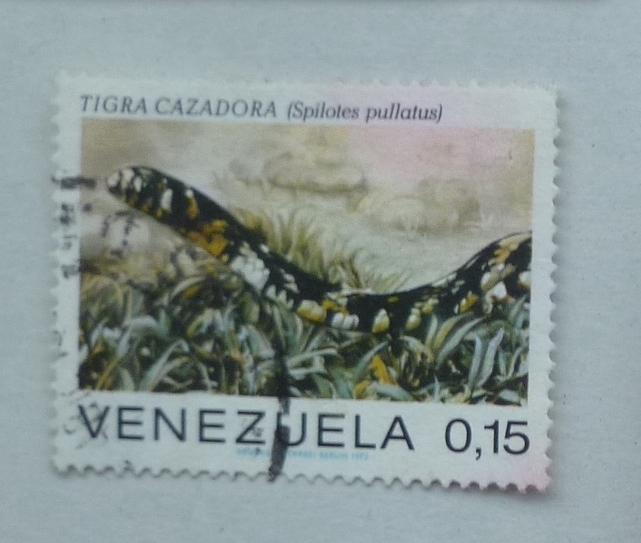 Вересуэла 1972 Mi# 1909 Змея  гаш