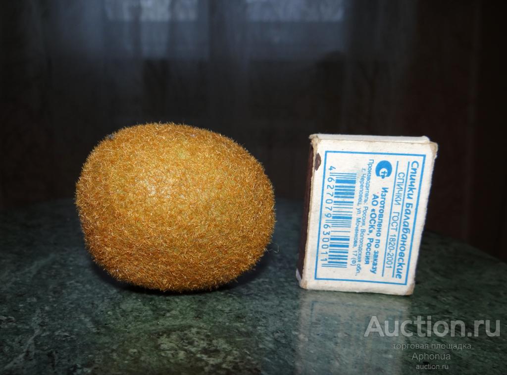 Киви. Муляж в настоящий размер! Интерьерное украшение