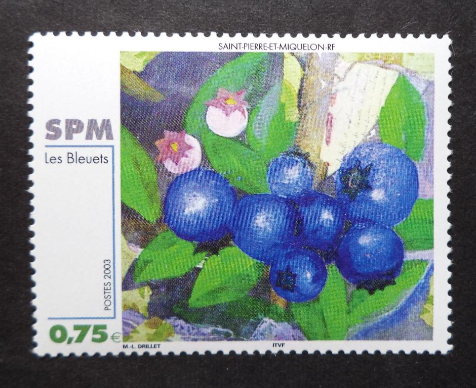 Сен-Пьер и Микелон 2003 г.  Флора . Ягоды  **  л.79