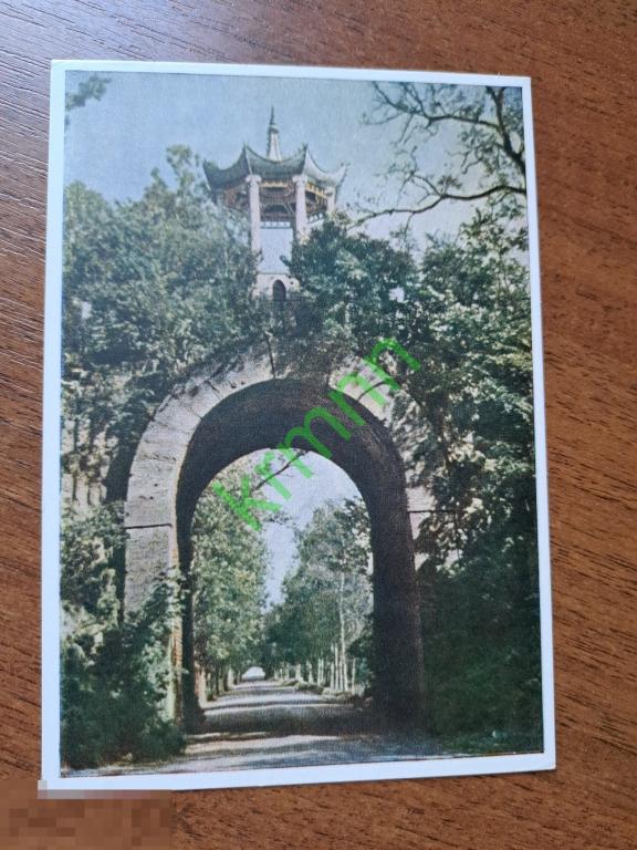 Открытка.  Ленинград. Пушкин. Екатерининский парк.  К1343