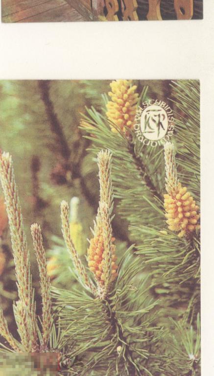 Карманный календарик  страхование госстрах литва 1990