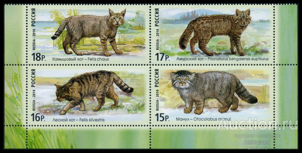 Россия 2014. 1846-1849. Фауна России. Дикие кошки. Нп.
