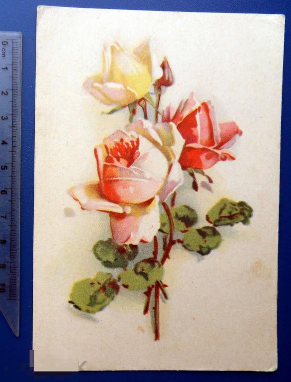 РОЗЫ 1961 Таллин Октообер -- N8 (2.0..1) подписана ЦВЕТЫ ..2..