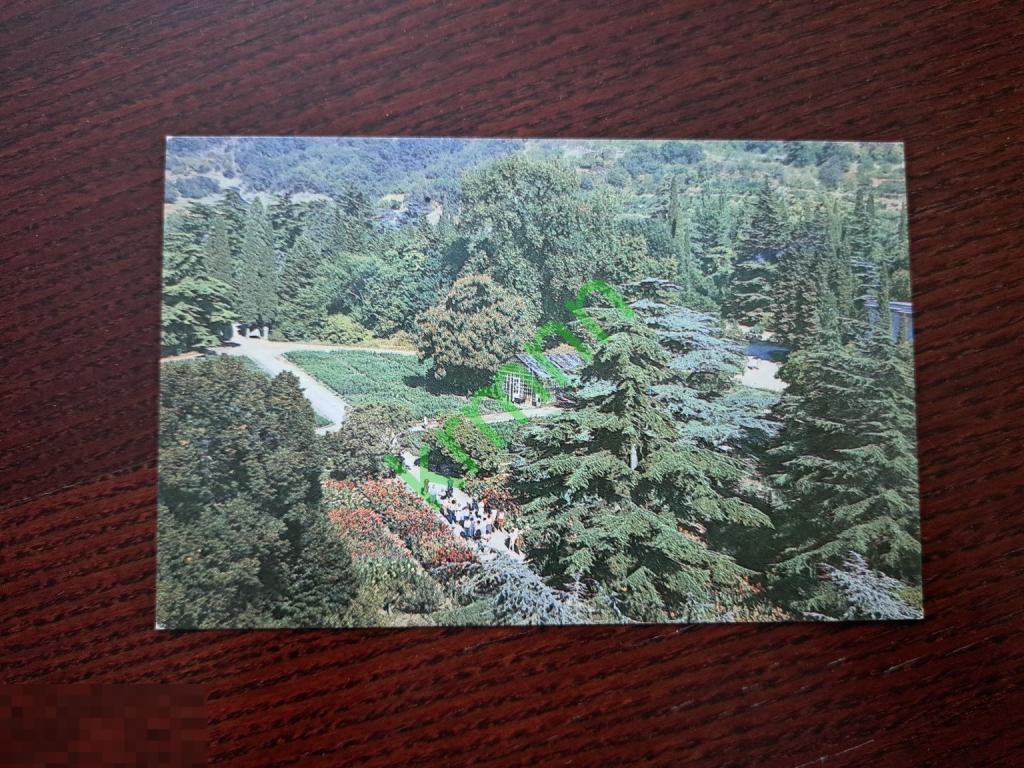 Открытка.  Вид на выставочный канн в Верхнем парке.    К1316