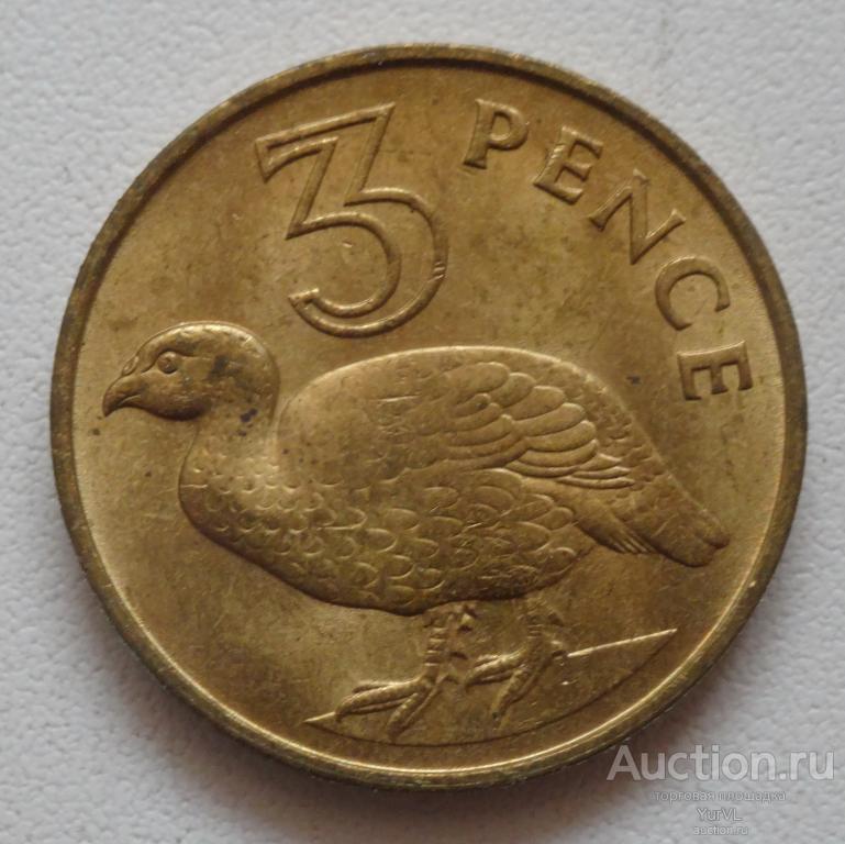 Гамбия 3 пенса 1966 года. Двухшпоровый турач (двухшпорный франколин).