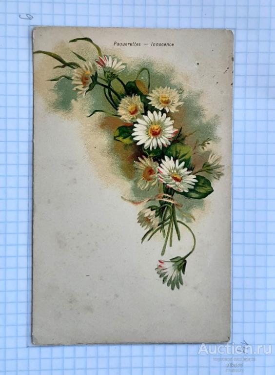 Живопись. Цветы невинности. Маргаритки. См.сост.