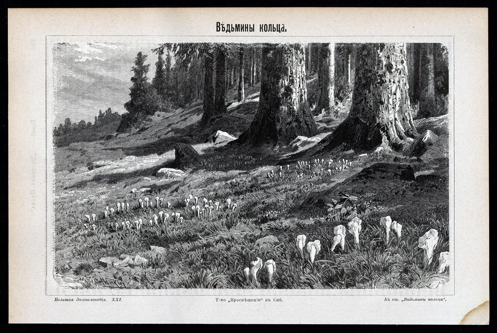 литография гравюра Ведьмины Кольца (круги) изд. СПБ 1903 год.. ориг..сост