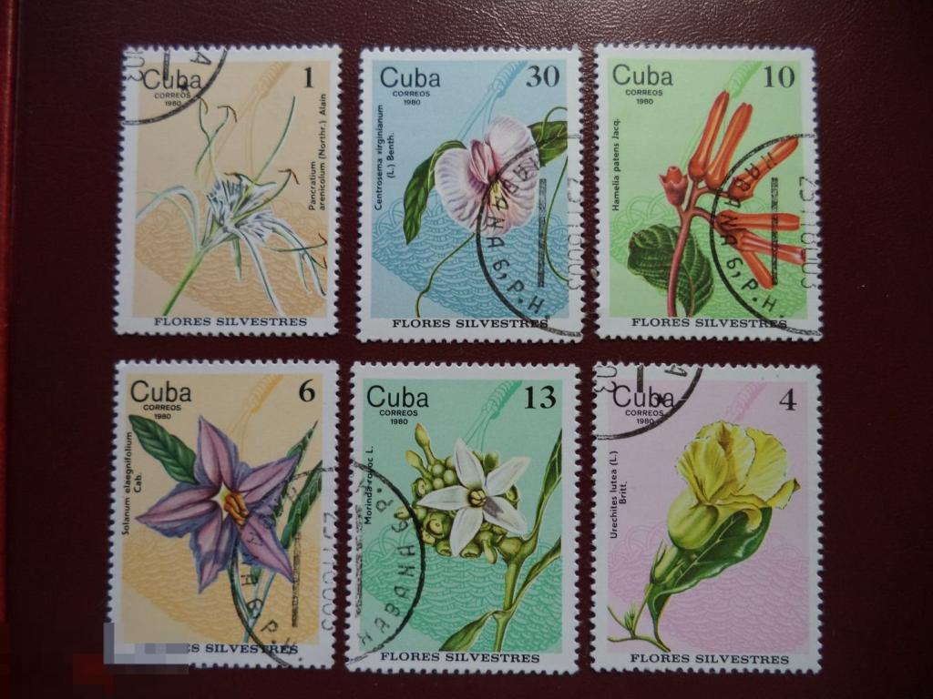 КУБА флора   гаш. ЦВЕТЫ 1980