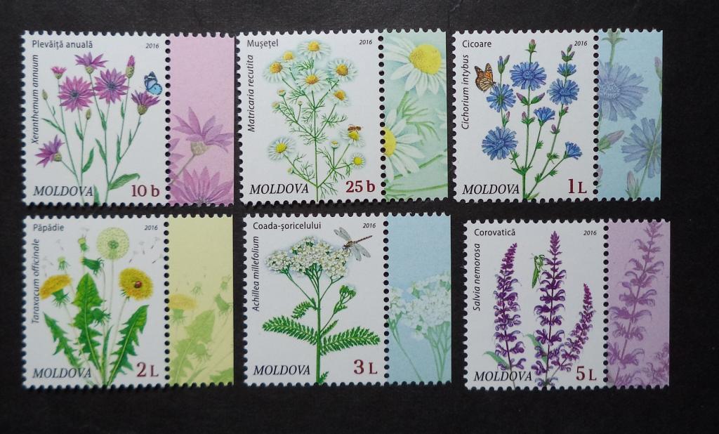 Молдова 2016 г.  Флора . Полевые цветы  **   Би.25