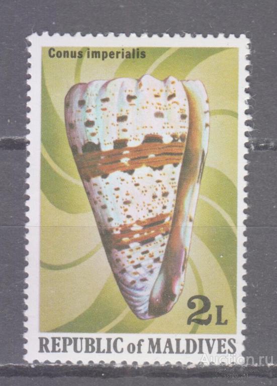 Мальдивы 1979 морская раковина Mi809 MNH