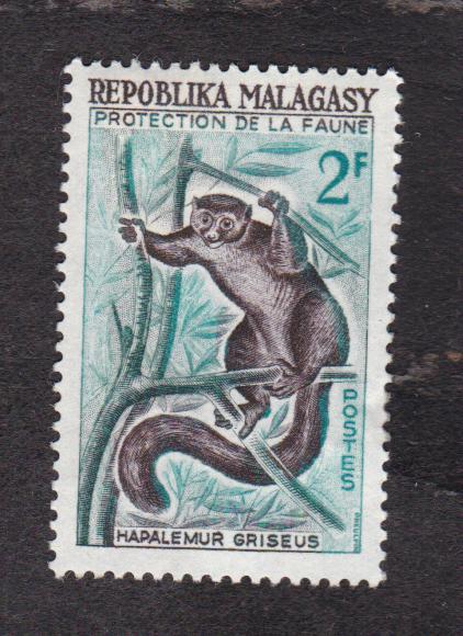 Мадагаскар 1961 Фауна Лемур (7991)