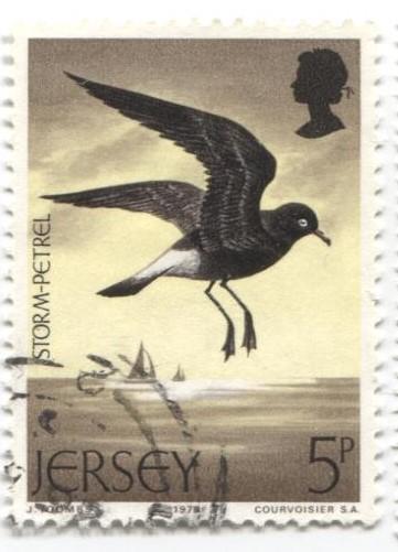 1975 Великобритания Джерси Морские птицы буревестник 1м гаш
