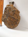 Метеорит железный