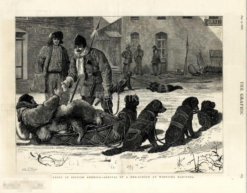 1876 год 2 Graphic виннипег канада собачья упряжка собака торговля север
