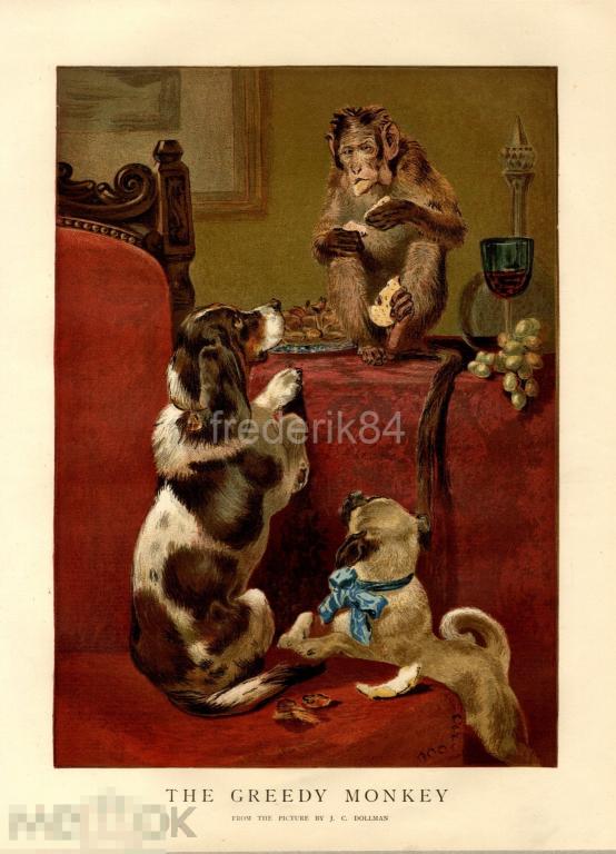 1876 год 2 Graphic англия жадная обезьяна художник Dollman вино виноград собака спаниель