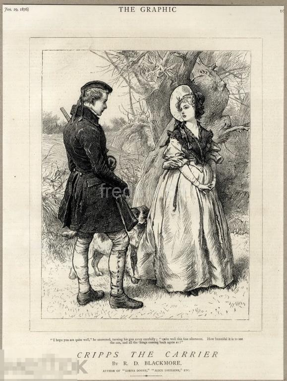 1876 год 1 Graphic англия роман лесная сказка девушка мода охотник собака