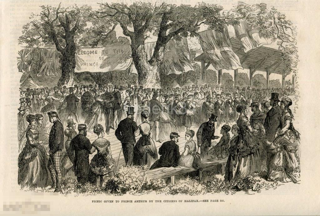 1869 год LNews бал пикник мода костюм танец