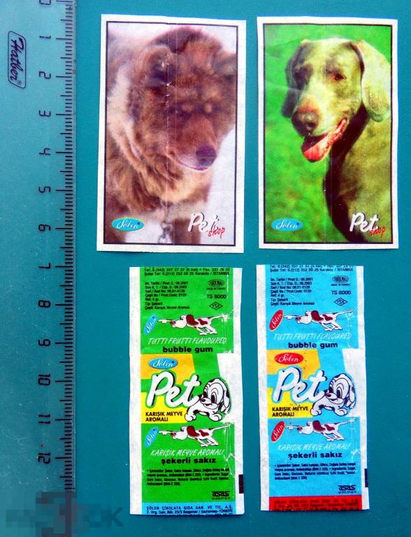 ОДНИМ ЛОТОМ!!! вкладыши Pet shop Solen - cS (21а)  комиксы СОБАКИ
